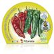 Pack Pimiento Italiano 6 Ud. Capsicum annuum - 02031060 (2)