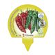 Pack Pimiento Italiano 6 Ud. Capsicum annuum - 02031060 (3)