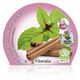 Albahaca Cannelle M-10,5 Ocimum basilicum - 02030031 (2)