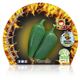 Jalapeño M-10,5 Capsicum annuum - 02028001 (2)