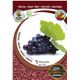 Parra Napoleón M-25 - Vitis vinifera - 03054064 (3)