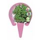 Menta Piperita M-10,5 Mentha piperita - 02030011 (3)