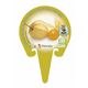 Physalis M-10,5 Physalis peruviana - 02025123 (3)