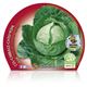 Col Redonda Lisa M-10,5 Brassica oleracea var. capitata - 02025100 (2)