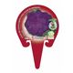 Coliflor Morada M-10,5 Brassica oleracea var. botrytis - 02025101 (3)