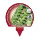 Pack Col Bruselas 6 Ud. Brassica oleracea var. gemmifera - 02031036 (3)