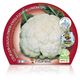 Pack Coliflor Blanca 6 Ud. Brassica oleracea var. botrytis - 02031042 (2)