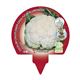 Pack Coliflor Blanca 6 Ud. Brassica oleracea var. botrytis - 02031042 (3)