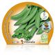 Guisante Super Snap Zuccola M-10,5 Pisum sativum - 02025157 (2)