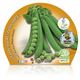 Guisante Mata Alta M-10,5 Pisum sativum - 02025107 (2)