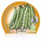 Haba M-10,5 Vicia faba - 02025076 (2)