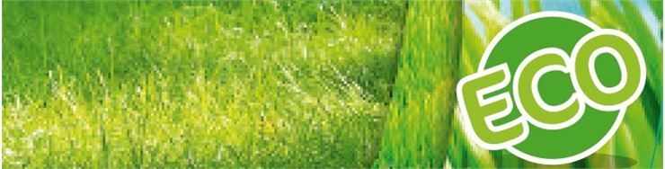 Césped Replantación