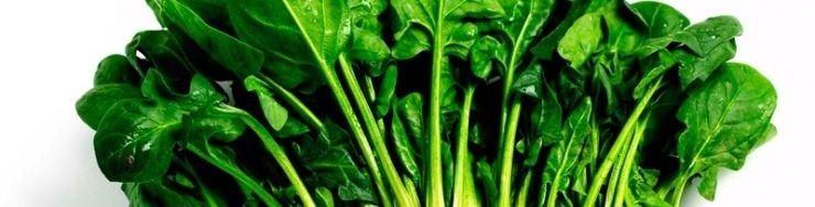 Acelgas, Espinacas y Cardos