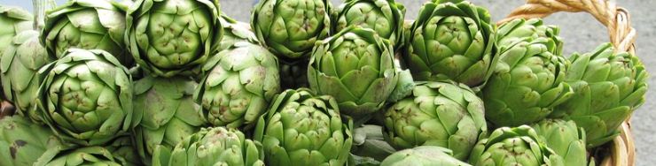 Alcachofas, Hinojo, Apio y Espárrago