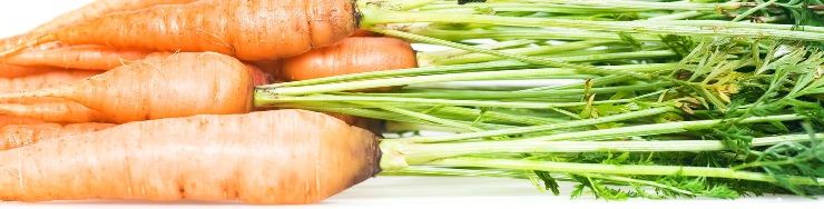 Zanahorias, rábanos, Cachuetes y otros