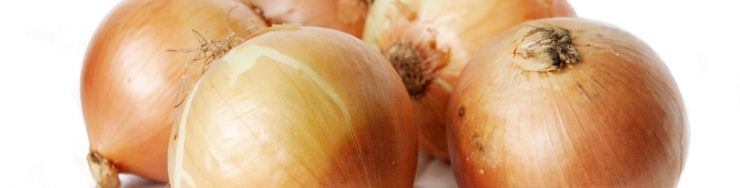 Cebollas y Puerros