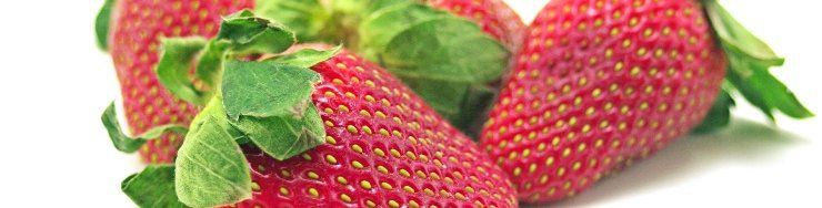 Fresas, Maíz y Girasoles