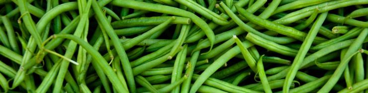 Judías, Guisantes y Habas